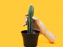 Good-Cactus-Extremely-Addictive-Dangerous