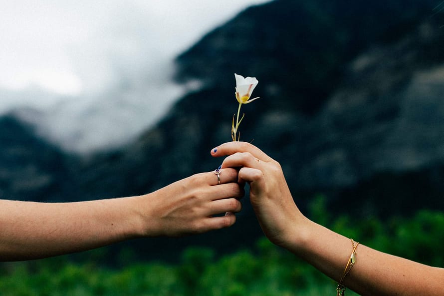 Two people in a valley, showing their happiness by holding a single white flower. Their arms are the only thing visible. 